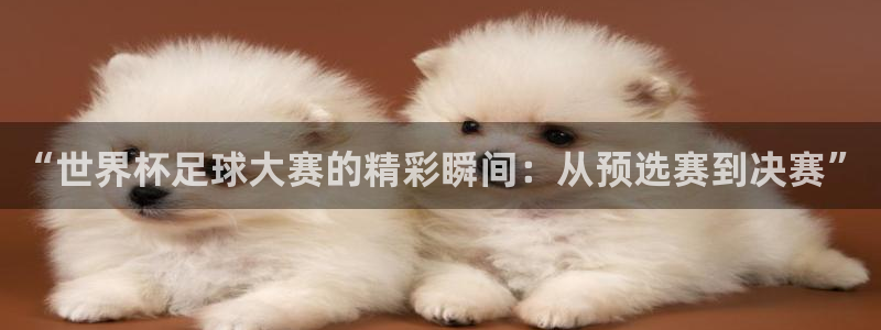 2026世界杯直播:“世界杯足球大赛的精彩瞬间:从预选赛到决赛”
