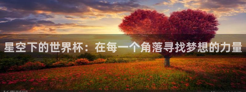 2026男足世界杯:星空下的世界杯:在每一个角落寻找梦想的力量