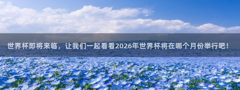 2026世界杯直播免费观看:世界杯即将来临,让我们一起看看2026年世界杯将在哪个月份举行吧!