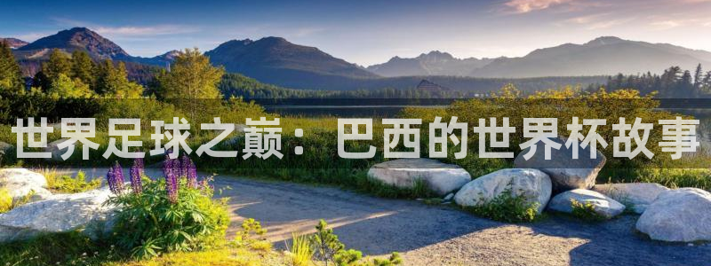 2026年世界杯:世界足球之巅:巴西的世界杯故事