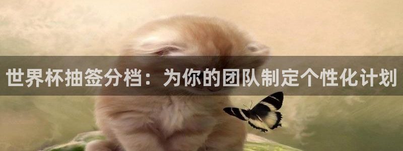 世界杯直播网站:世界杯抽签分档:为你的团队制定个性化计划