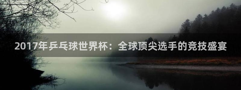 足球比分直播世界杯:2017年乒乓球世界杯:全球顶尖选手的竞技盛宴